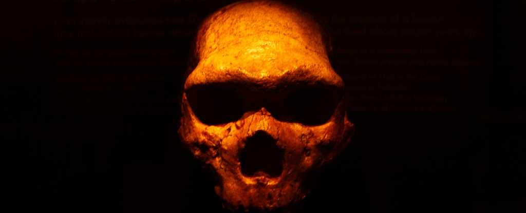 ancient-humans-large-head
