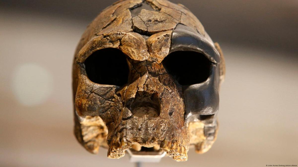 homo-juluensis-new-species