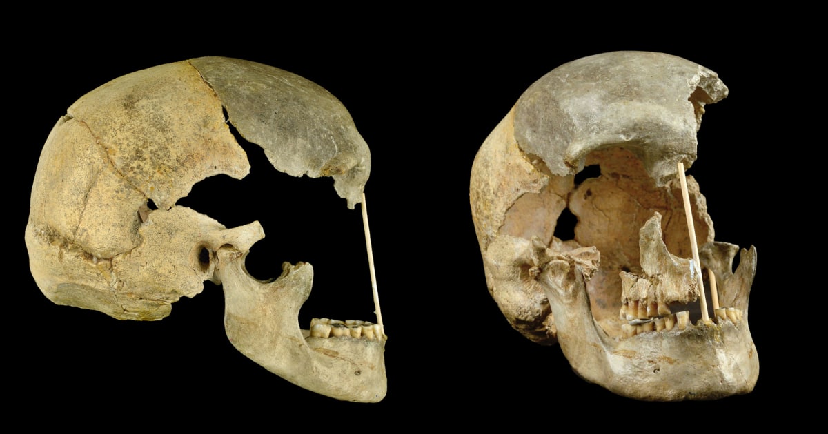 neanderthal-human-evolution