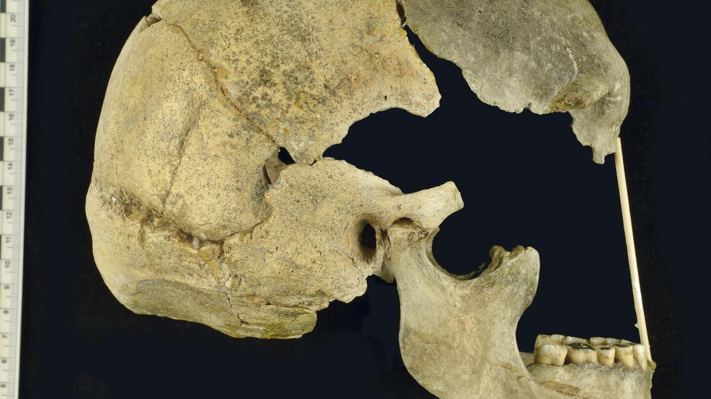 neanderthal-interbreeding-human-evolution