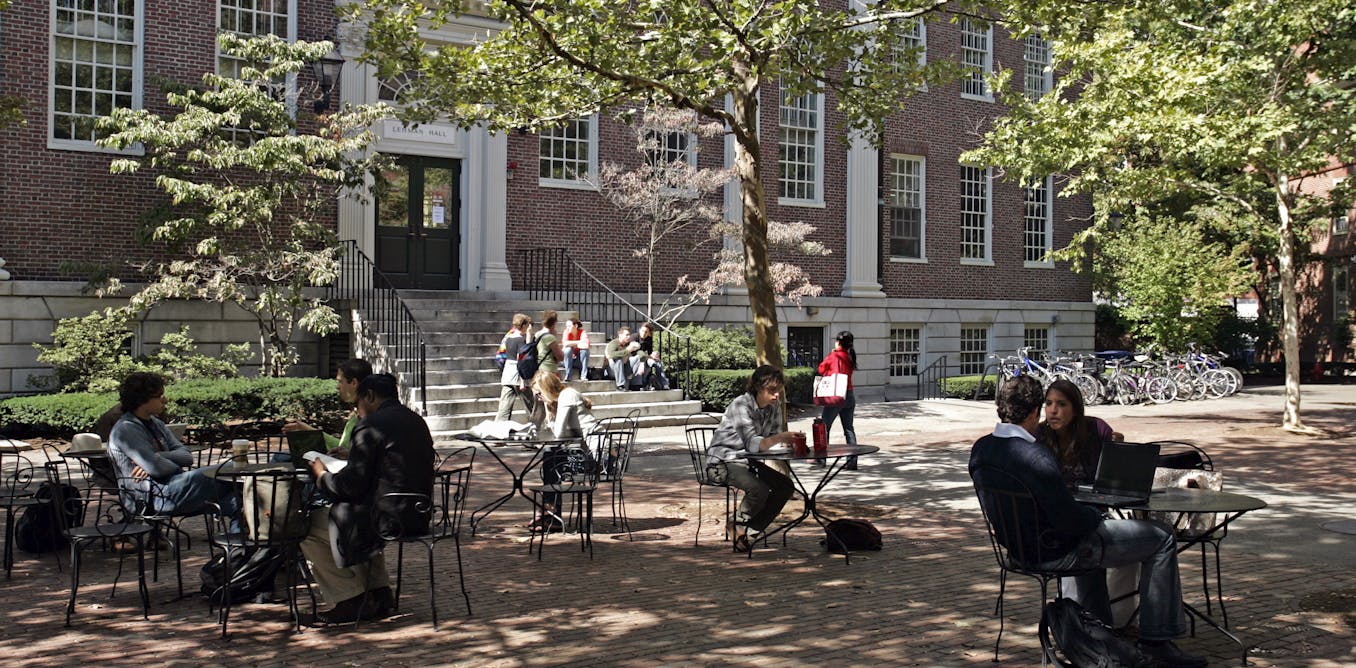 harvard-antisemitism-criticism-israel