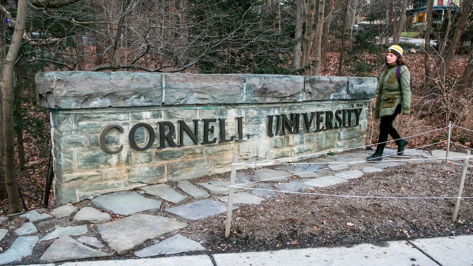 federal-funding-cornell-northwestern