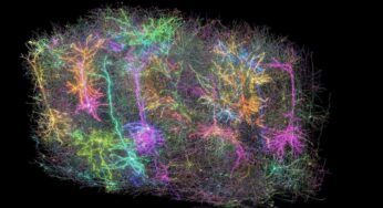 Uncover Your Knowledge: The Engaging Quiz Challenge of the Week