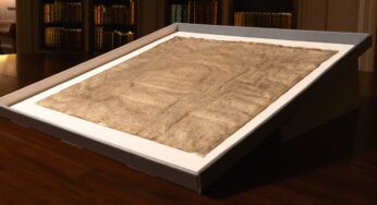 Unveiling History: Harvard’s Surprising Connection to a 1300s Magna Carta Replica