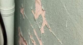 Uncovering the Hidden Dangers: Milwaukee Schools and the Lead Paint Crisis
