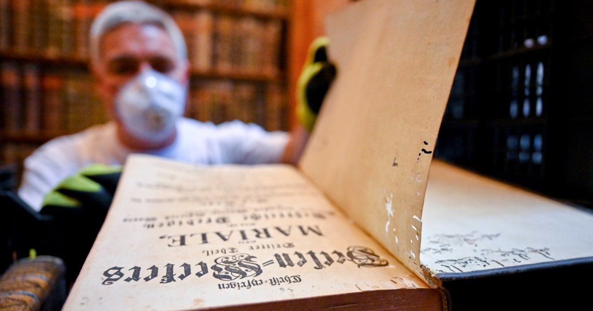 hungary-library-beetle-infestation
