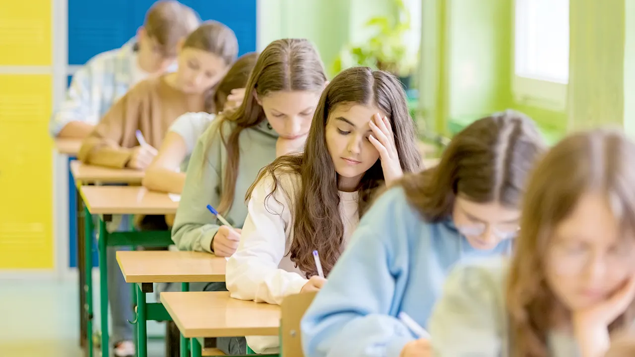 education-department-investigation-explicit-survey
