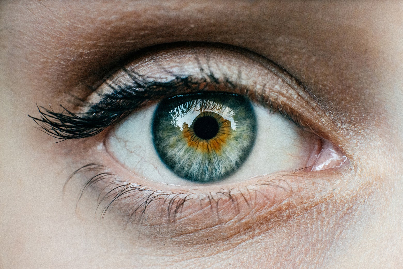 perception-century-research-insights